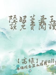 陆昭菱晋王的小说免费阅读