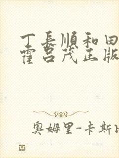 丁长顺和田晓兰霍吕茂正版