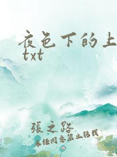 夜色下的上海滩 txt