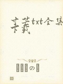 寸芒txt全集下载