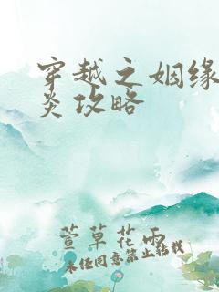 穿越之姻缘劫萧炎攻略