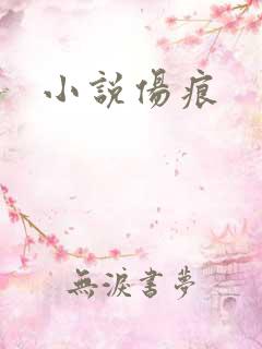 小说伤痕