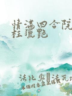 情满四合院之傻柱猎艳