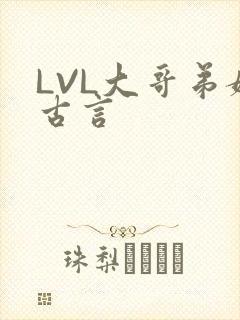 LVL大哥弟媳古言