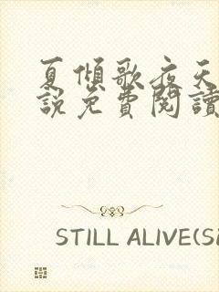 夏倾歌夜天承小说免费阅读