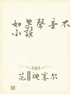 如果声音不记得小说