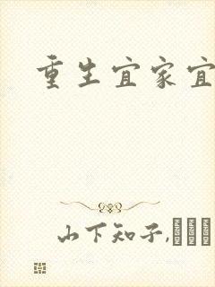 重生宜家宜室