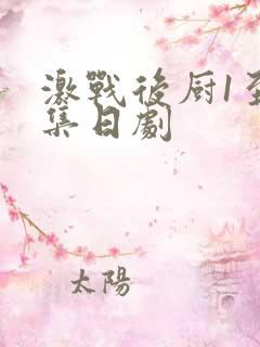 激战后厨1至5集日剧