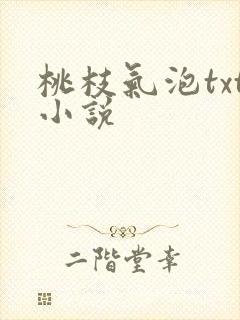 桃枝气泡txt小说