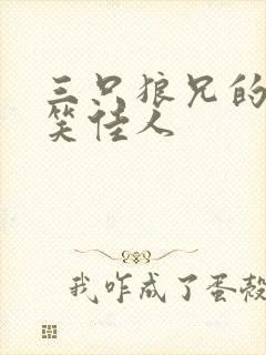 三只狼兄的宠妻笑佳人