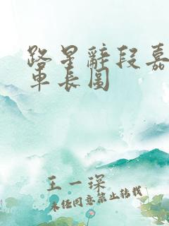 路星辞段嘉衍肉车长图