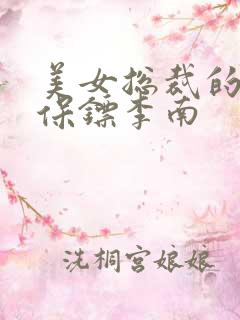 美女总裁的护花保镖李南