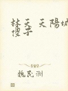 林天 天阳城 傻子