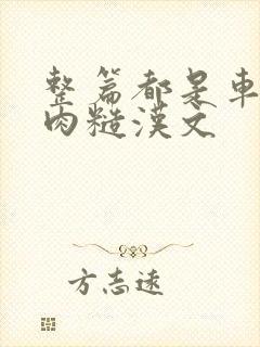 整篇都是车的多肉糙汉文