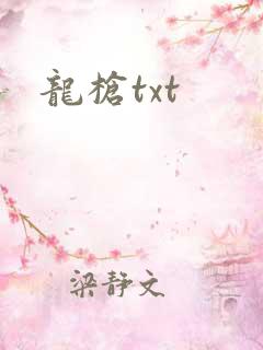龙枪txt