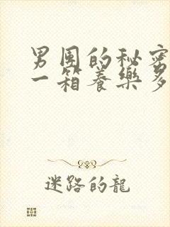 男团的秘密BY一箱养乐多小说