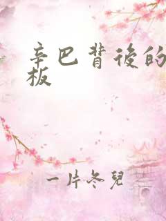 辛巴背后的人老板