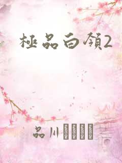 极品白领2