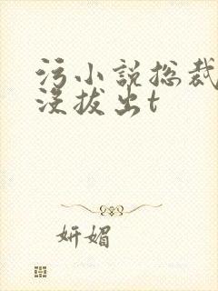 污小说总裁整夜没拔出t