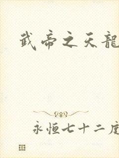 武帝之天龙八部