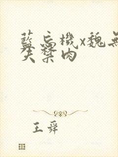 蓝忘机x魏无羡失禁肉