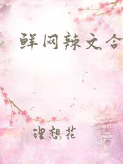 鲜网辣文合集