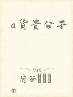 a货贵公子