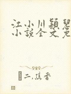 江小川颖儿穿越小说全文免费阅读