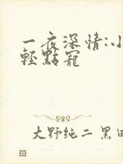 一夜深情:小叔轻点宠