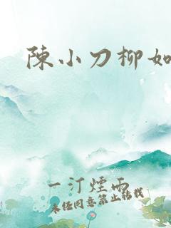 陈小刀柳如意