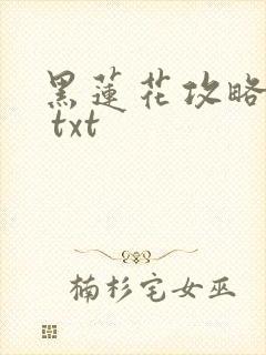 黑莲花攻略手册 txt