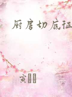 厨房切底征服岳