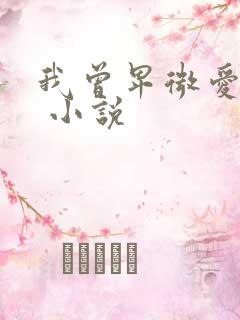 我曾卑微爱过你 小说