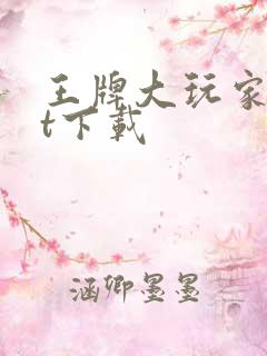 王牌大玩家txt下载