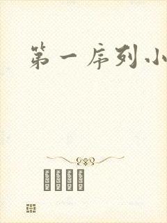 第一序列小说