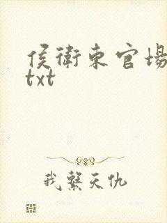 侯卫东官场笔记txt