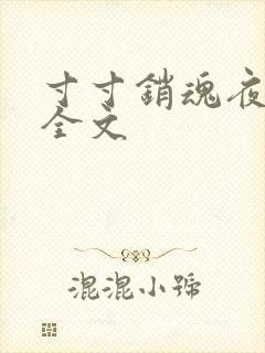 寸寸销魂夜春光全文