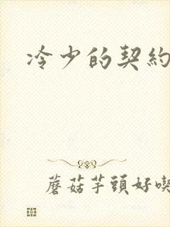 冷少的契约囚奴