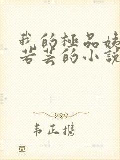 我的极品姨妈柳若芸的小说在线