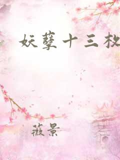 妖孽十三枚