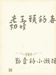 老王头的春天林初晴