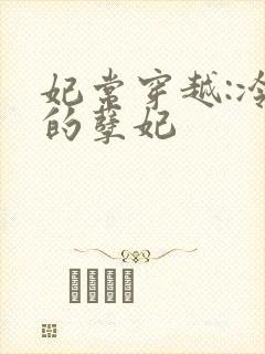 妃常穿越:冷王的孽妃