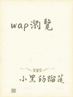 wap浏览