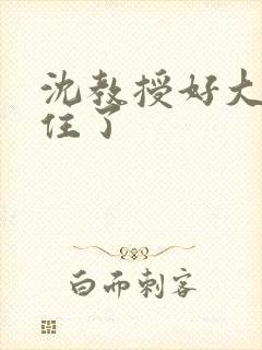 沈教授好大含不住了