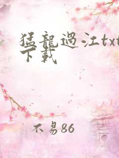 猛龙过江txt下载