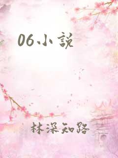 06小说