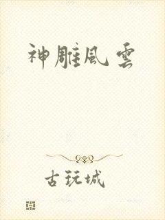神雕风云