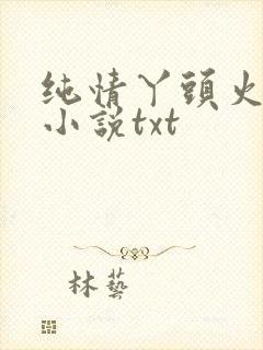 纯情丫头火辣辣小说txt