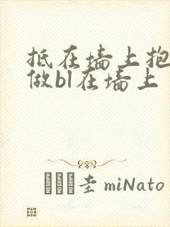 抵在墙上抱起来做bl在墙上