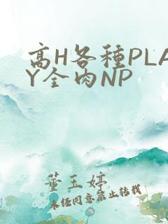 高H各种PLAY全肉NP